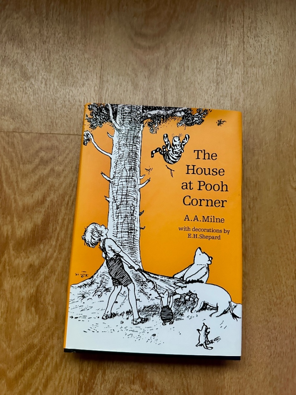 The House at Pooh Corner A.A. Milne E.H. Shepard Illustrated Hardcover